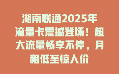 湖南联通2025年流量卡震撼登场！超大流量畅享不停，月租低至惊人价