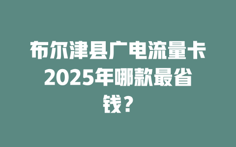 布尔津县广电流量卡2025年哪款最省钱？