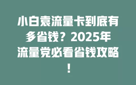 小白袁流量卡到底有多省钱？2025年流量党必看省钱攻略！