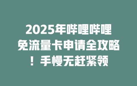 2025年哔哩哔哩免流量卡申请全攻略！手慢无赶紧领