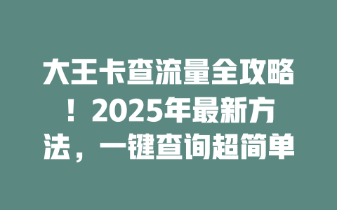 大王卡查流量全攻略！2025年最新方法，一键查询超简单