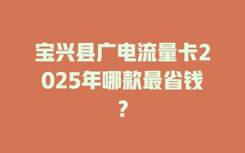宝兴县广电流量卡2025年哪款最省钱？