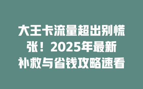 大王卡流量超出别慌张！2025年最新补救与省钱攻略速看