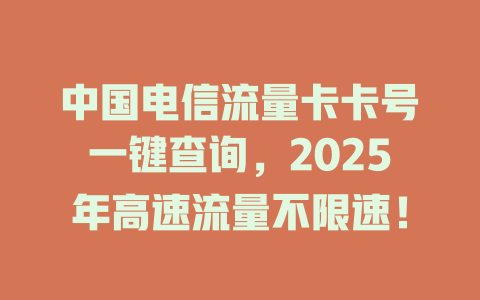 中国电信流量卡卡号一键查询，2025年高速流量不限速！
