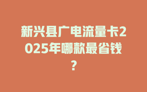 新兴县广电流量卡2025年哪款最省钱？