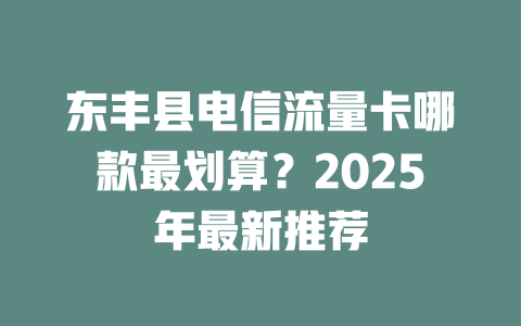 东丰县电信流量卡哪款最划算？2025年最新推荐