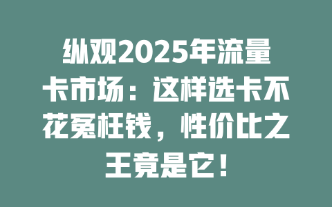 纵观2025年流量卡市场：这样选卡不花冤枉钱，性价比之王竟是它！