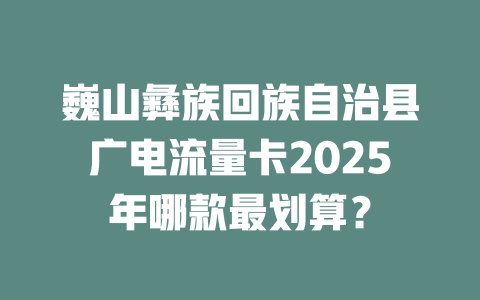 巍山彝族回族自治县广电流量卡2025年哪款最划算？