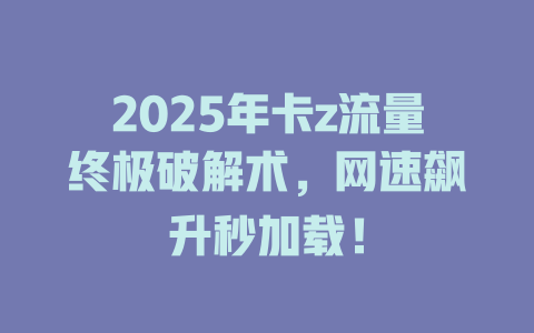2025年卡z流量终极破解术，网速飙升秒加载！