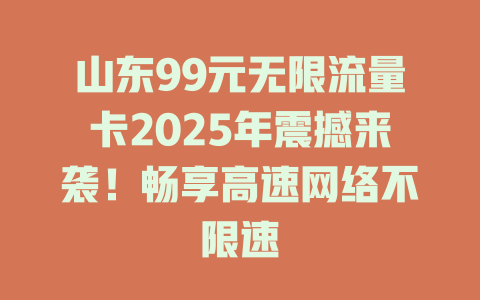 山东99元无限流量卡2025年震撼来袭！畅享高速网络不限速