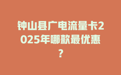 钟山县广电流量卡2025年哪款最优惠？