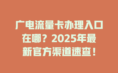 广电流量卡办理入口在哪？2025年最新官方渠道速查！