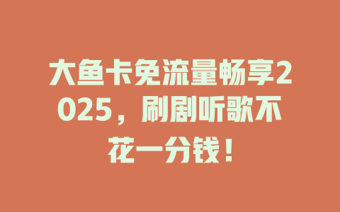 大鱼卡免流量畅享2025，刷剧听歌不花一分钱！