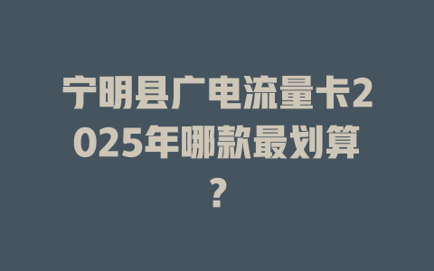 宁明县广电流量卡2025年哪款最划算？