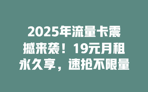 2025年流量卡震撼来袭！19元月租永久享，速抢不限量