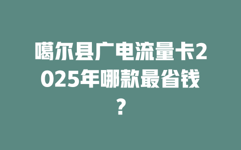 噶尔县广电流量卡2025年哪款最省钱？