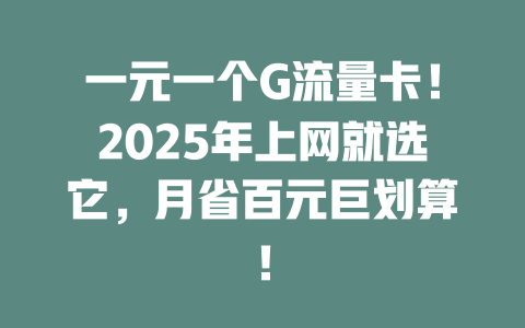 一元一个G流量卡！2025年上网就选它，月省百元巨划算！