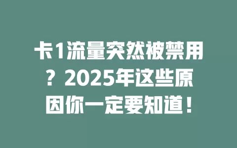 卡1流量突然被禁用？2025年这些原因你一定要知道！