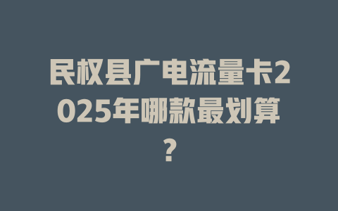 民权县广电流量卡2025年哪款最划算？