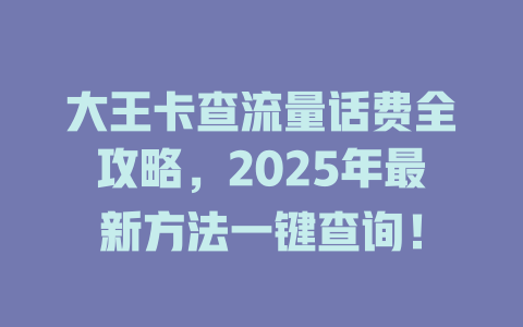 大王卡查流量话费全攻略，2025年最新方法一键查询！