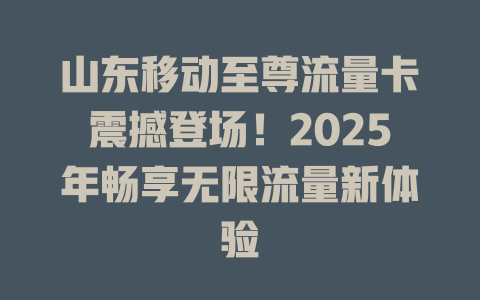 山东移动至尊流量卡震撼登场！2025年畅享无限流量新体验