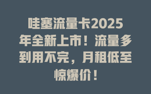 哇塞流量卡2025年全新上市！流量多到用不完，月租低至惊爆价！