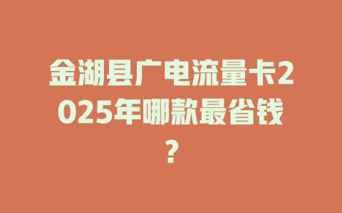 金湖县广电流量卡2025年哪款最省钱？