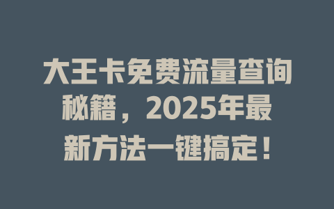 大王卡免费流量查询秘籍，2025年最新方法一键搞定！