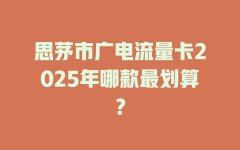 思茅市广电流量卡2025年哪款最划算？