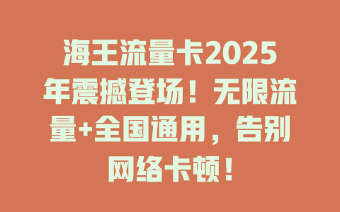 海王流量卡2025年震撼登场！无限流量+全国通用，告别网络卡顿！