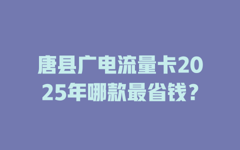 唐县广电流量卡2025年哪款最省钱？