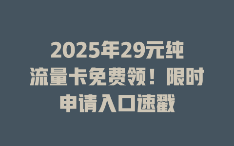 2025年29元纯流量卡免费领！限时申请入口速戳