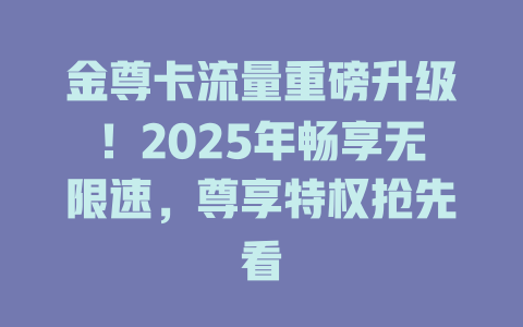 金尊卡流量重磅升级！2025年畅享无限速，尊享特权抢先看