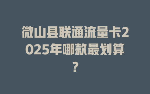 微山县联通流量卡2025年哪款最划算？