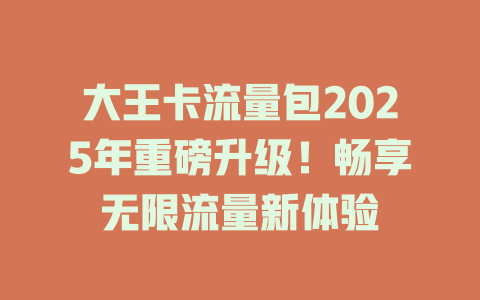 大王卡流量包2025年重磅升级！畅享无限流量新体验