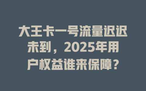 大王卡一号流量迟迟未到，2025年用户权益谁来保障？