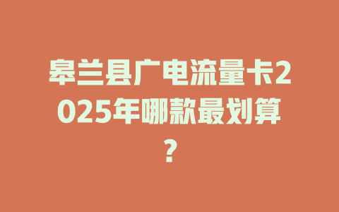 皋兰县广电流量卡2025年哪款最划算？