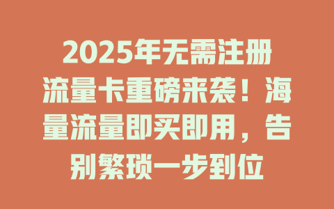 2025年无需注册流量卡重磅来袭！海量流量即买即用，告别繁琐一步到位