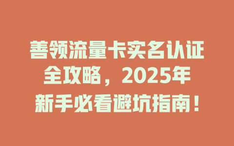 善领流量卡实名认证全攻略，2025年新手必看避坑指南！