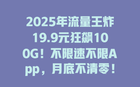 2025年流量王炸19.9元狂飙100G！不限速不限App，月底不清零！