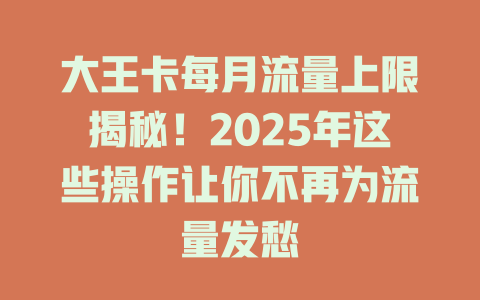 大王卡每月流量上限揭秘！2025年这些操作让你不再为流量发愁