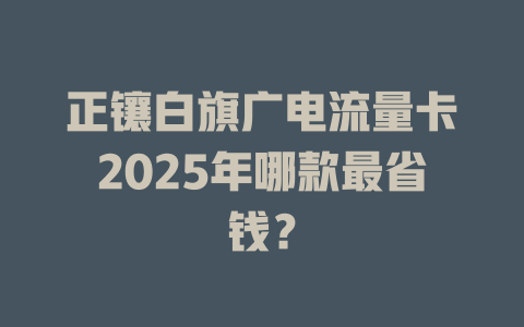 正镶白旗广电流量卡2025年哪款最省钱？