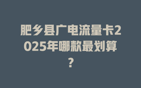 肥乡县广电流量卡2025年哪款最划算？