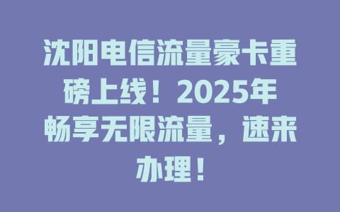 沈阳电信流量豪卡重磅上线！2025年畅享无限流量，速来办理！