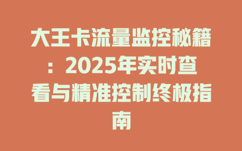 大王卡流量监控秘籍：2025年实时查看与精准控制终极指南