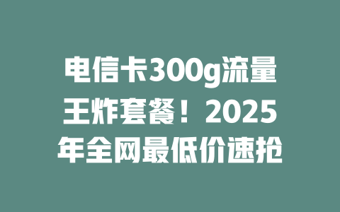电信卡300g流量王炸套餐！2025年全网最低价速抢
