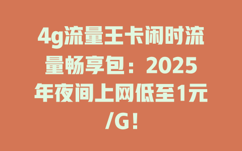 4g流量王卡闲时流量畅享包：2025年夜间上网低至1元/G！