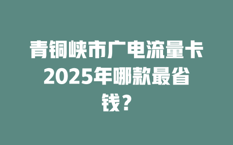 青铜峡市广电流量卡2025年哪款最省钱？