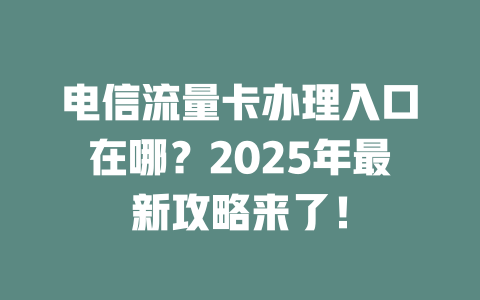 电信流量卡办理入口在哪？2025年最新攻略来了！