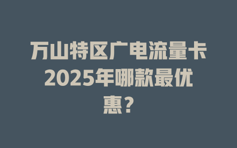 万山特区广电流量卡2025年哪款最优惠？